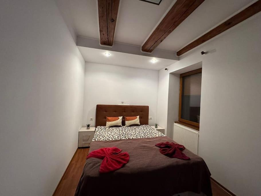 Iazi Apartament Braşov Exteriör bild