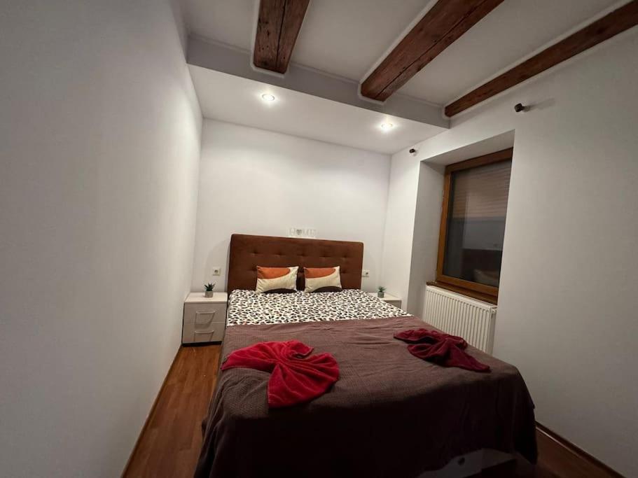 Iazi Apartament Braşov Exteriör bild