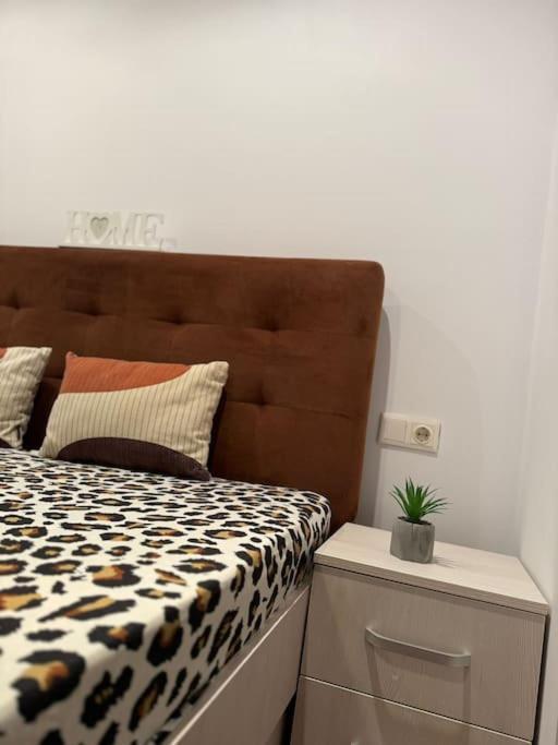 Iazi Apartament Braşov Exteriör bild