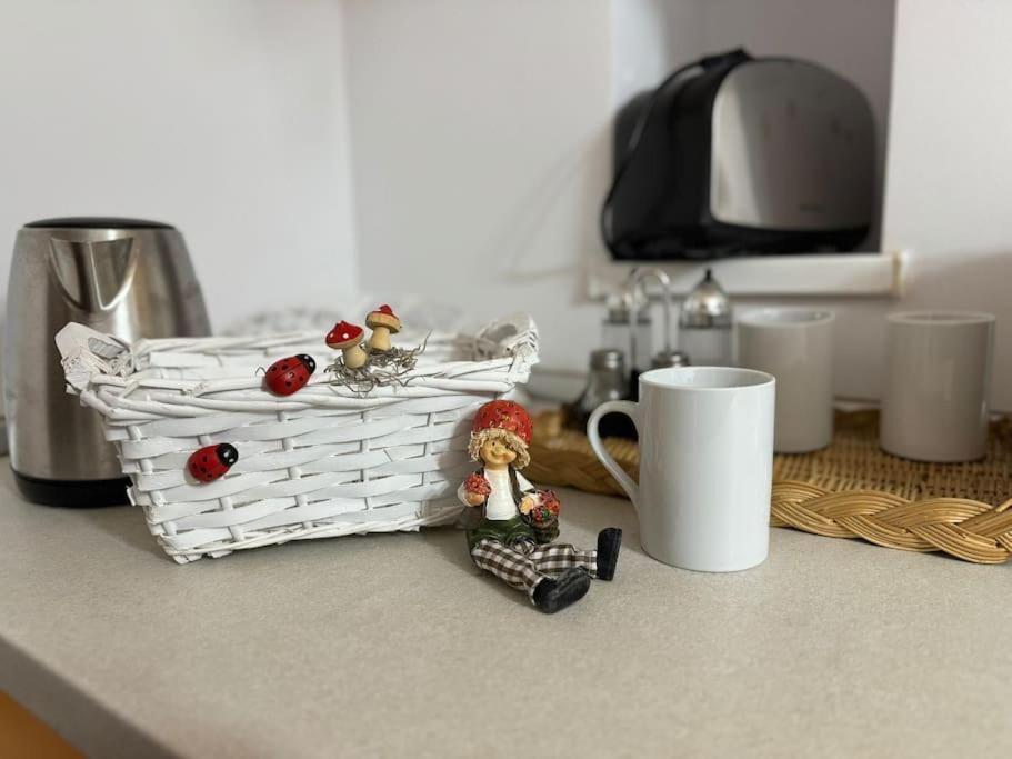 Iazi Apartament Braşov Exteriör bild