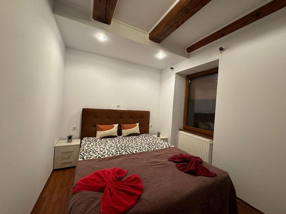 Iazi Apartament Braşov Exteriör bild