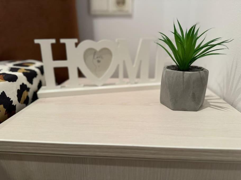 Iazi Apartament Braşov Exteriör bild